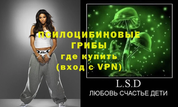 молекула духа Горняк
