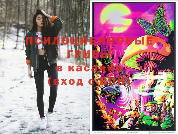 молекула духа Горняк