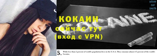 молекула духа Горняк