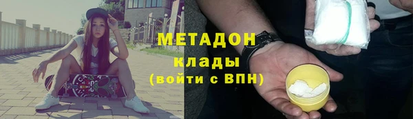 прущие грибы Михайловка