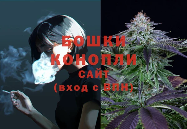 молекула духа Горняк