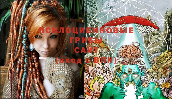 шишки Вяземский