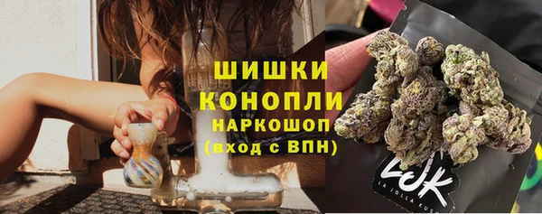 молекула духа Горняк