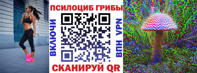 где продают   блэк спрут вход  Псилоцибиновые грибы Psilocybe  Десногорск 